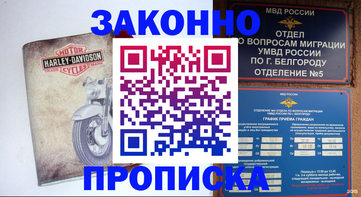 прописка для школы в Можге